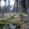 dsc01785.jpg