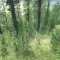 sass-grand_bever_-(2).jpg