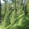 sass-grand_bever_-(5).jpg