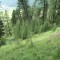 sass-grand_bever_-(8).jpg