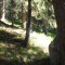 3_photo1.jpg