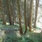 3_photo4.jpg