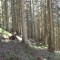 5_photo1.jpg
