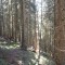 5_photo2.jpg