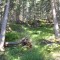 6_photo1.jpg