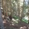 6_photo4.jpg