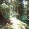 6_photo6.jpg
