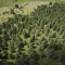 dji_0084.jpg