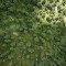dji_0087.jpg
