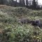 wf_grotzawald_20_8.jpg