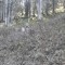 wf_grotzenwald_22_10.jpg