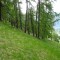 image125.jpg
