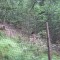 1_2_20230803.jpg