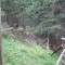 1_3_20230803.jpg