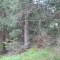 1_7_20230803.jpg