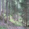 2_3_20230803.jpg