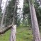 3_1_20230803.jpg