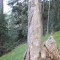 3_7_20230803.jpg