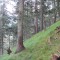 4_7_20230803.jpg
