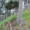 4_8_20230803.jpg