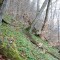 20080318_herderenwald_fsta2.1.JPG