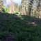 wf_grotzawald_19_1.jpg