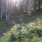 wf_grotzawald_19_7.jpg