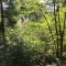 2019-8-16_f7_125_rainwald.jpg