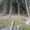 wf_bos-chagrischa_fst_1_nr_05a.jpg
