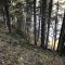wf_poschiavo_i-cole08.jpg