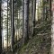 wf_poschiavo_i-cole11.jpg