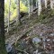 wf_poschiavo_i-cole12.jpg
