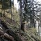 wf_poschiavo_i-cole15.jpg