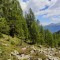 20200625_112217.jpg