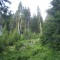 wf_ladir_con-da-cauras_fs-1.2_2013.jpg