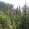 wf_ladir_con-da-cauras_fs-3.4_2013.jpg