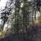 wf_poschiavo_suaser03.jpg