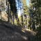 wf_poschiavo_suaser07.jpg
