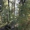 wf_poschiavo_suaser10.jpg