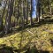 wf_poschiavo_suaser12.jpg