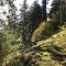 wf_poschiavo_suaserz2.jpg