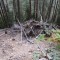 wf_minger_fst_5_nr_1.jpg