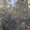 d_2_20220913.jpg