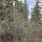 h_2_20220913.jpg