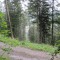 20120806_talwald_16.jpg
