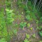 dji_0625.jpg