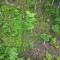 dji_0626.jpg