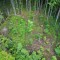 dji_0627.jpg