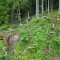 dji_0628.jpg