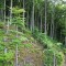 dji_0629.jpg